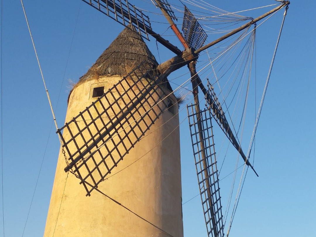Molino de Santa Ponsa-圣庞沙必去景点
