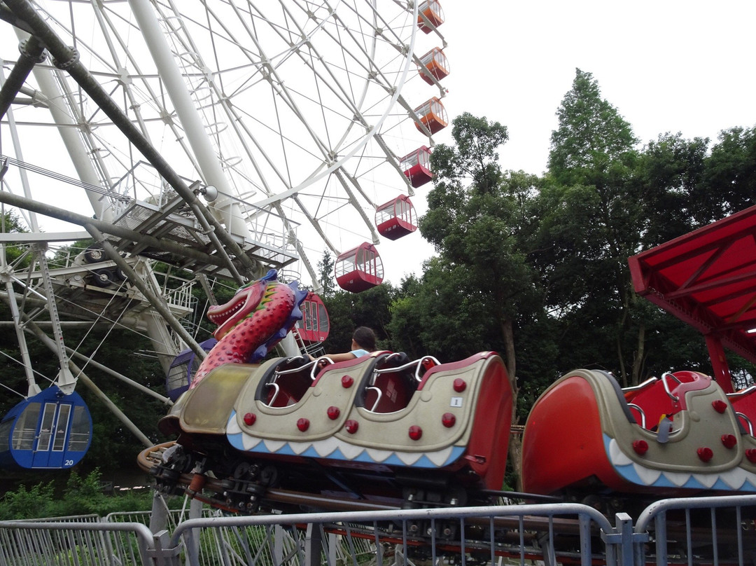 Forest Playland-野田市必去景点