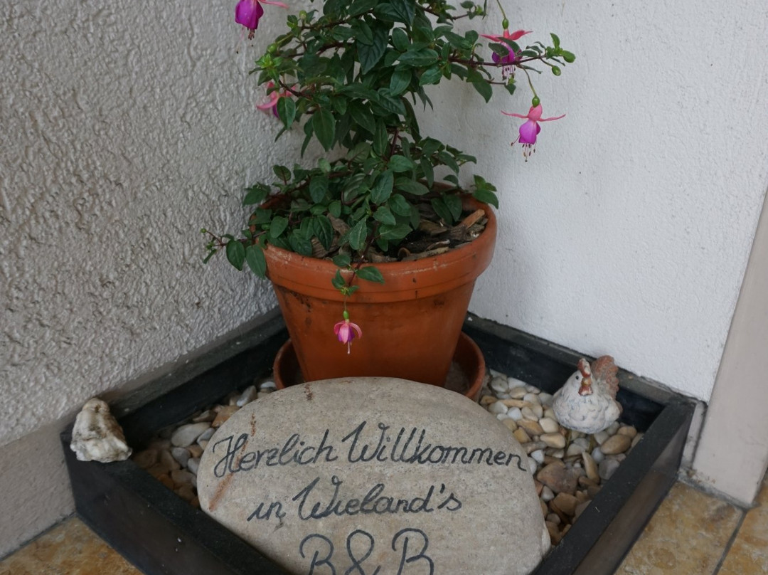 Wieland's Bed & Breakfast主图