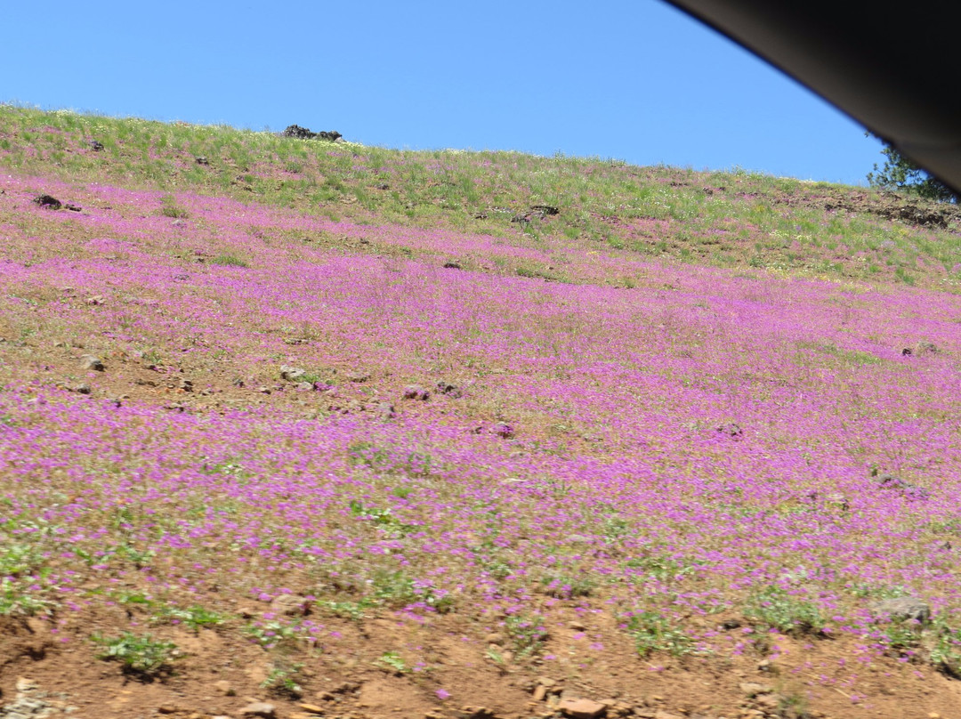 Hells Canyon-Oxbow必去景点