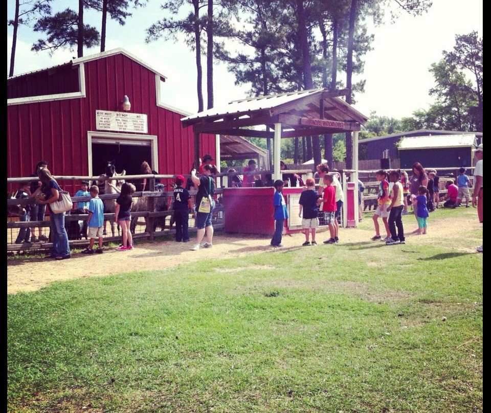 7 Acre Wood-Conroe必去景点