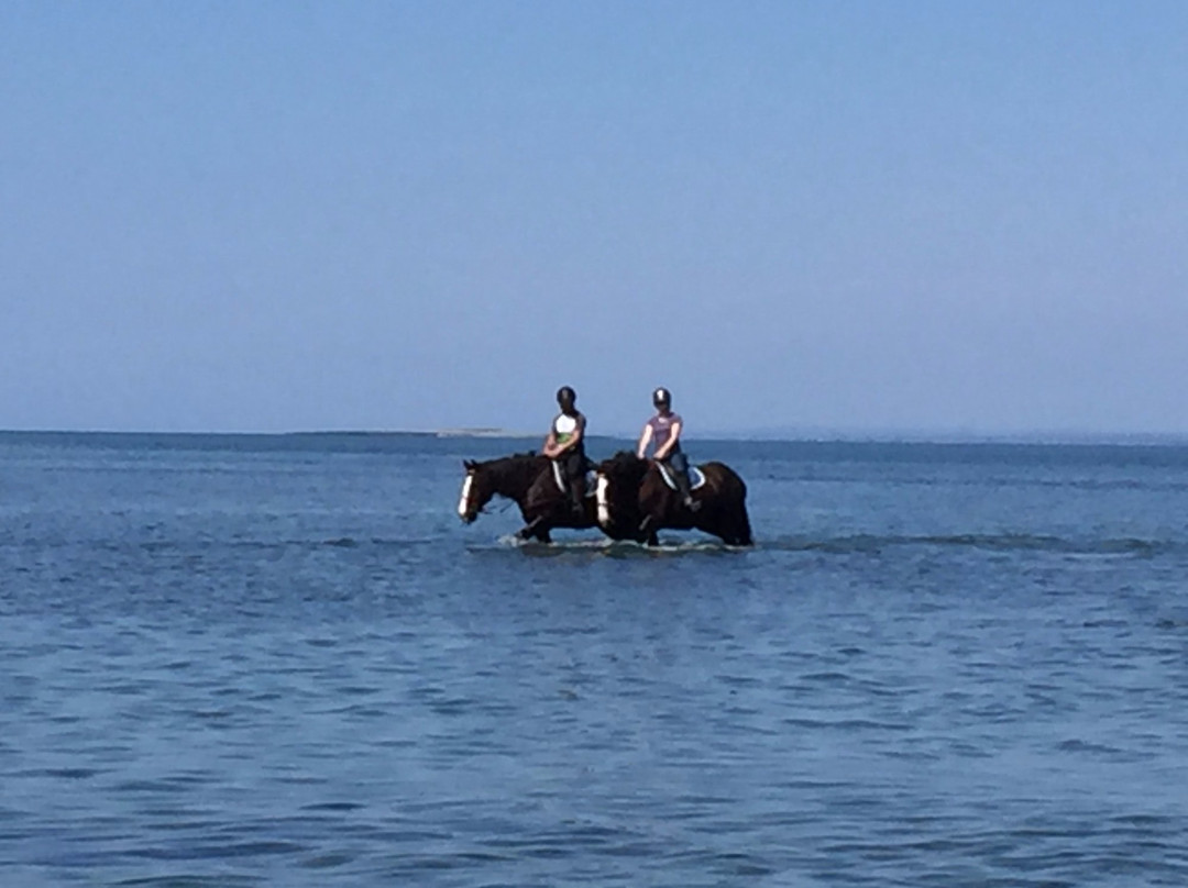JT Equestrian景点图片