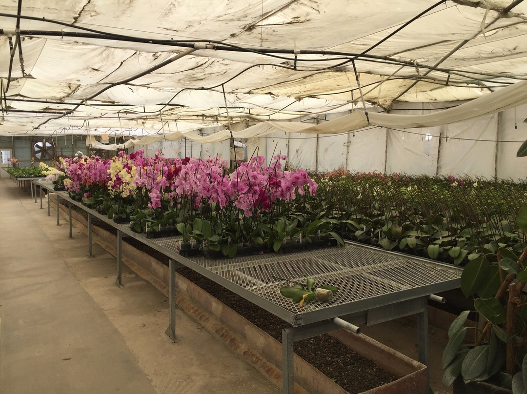 Gubler Orchids-Landers必去景点