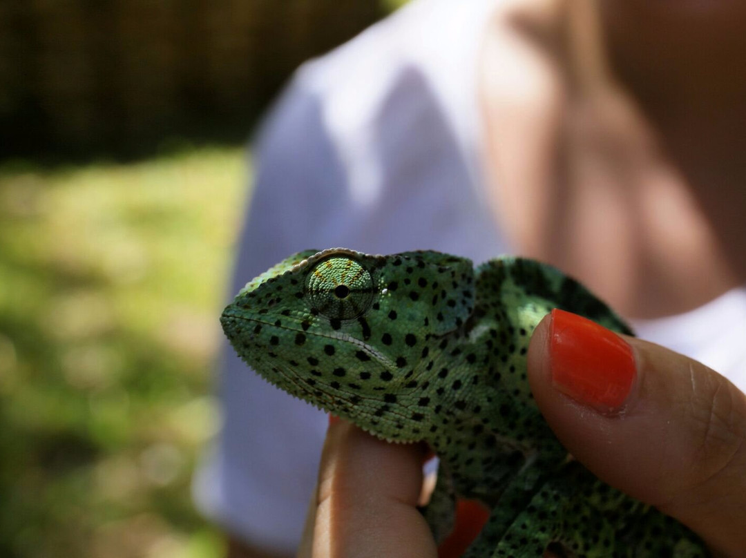 Zanzibar Land Animal Park (ZALA)-桑给巴尔岛必去景点