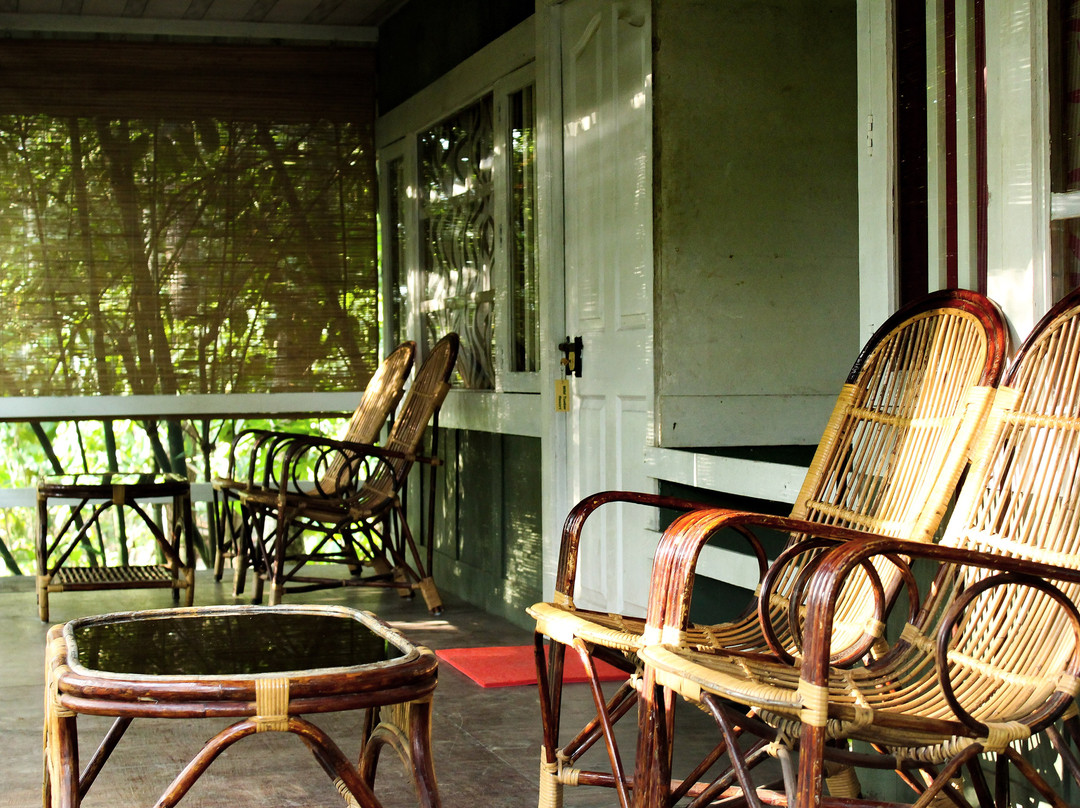 Wild Tusker Resort