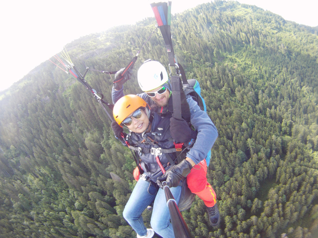 Panoramic Paragliding-卢塞恩必去景点