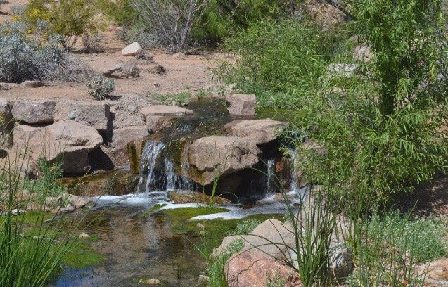 Chandler Nature Center-钱德勒必去景点