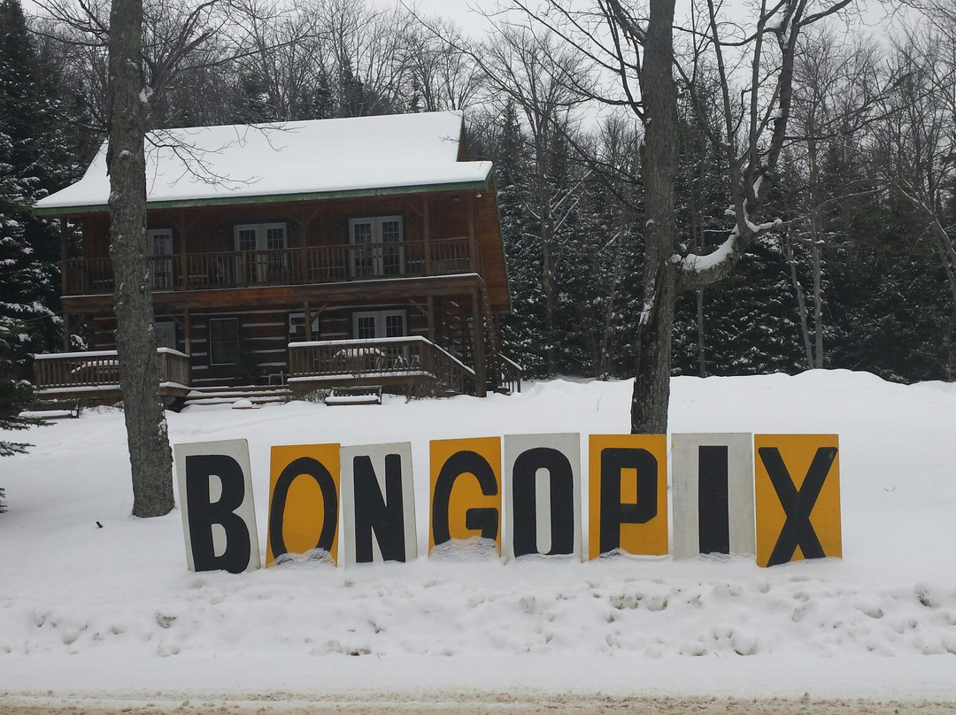 Camp Bongopix