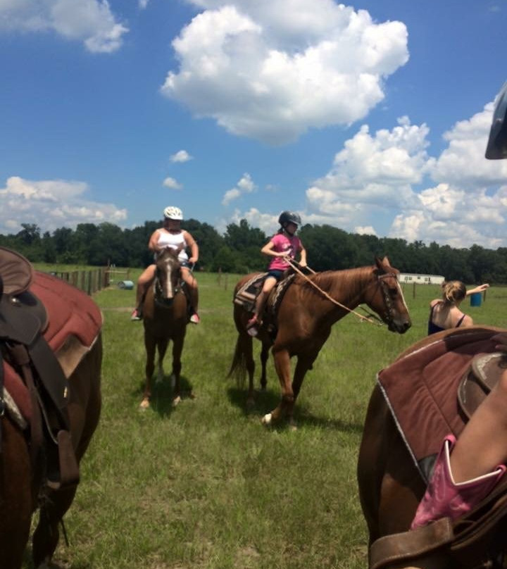 Rockin n Stables-Pelham必去景点