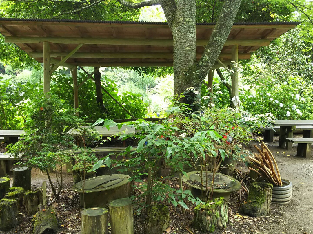 Minamisawa Ajisai Mountain-秋留野市必去景点