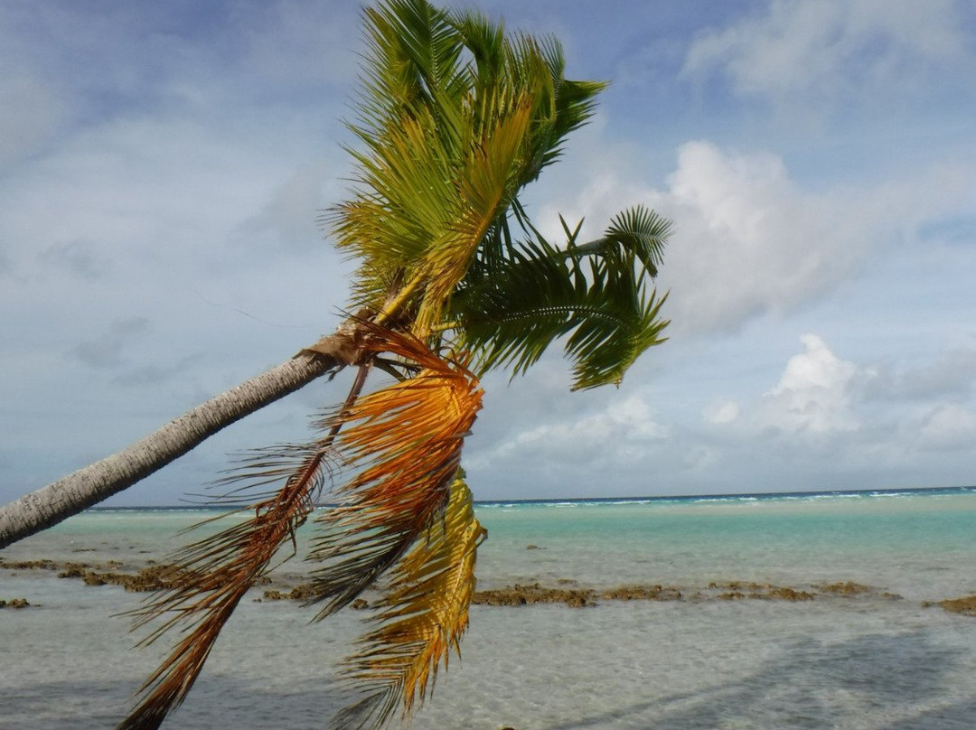 Tahiti Kayak Eco Trips-Fakarava必去景点