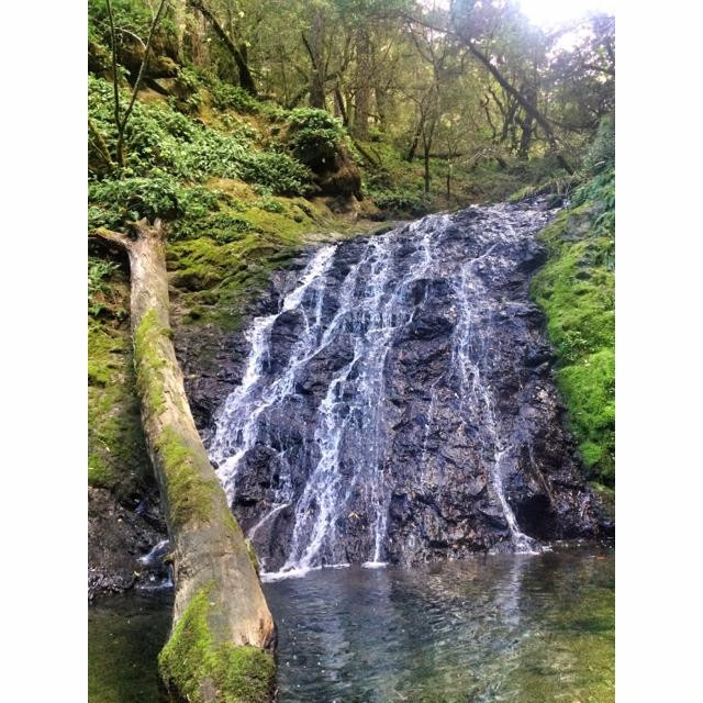 Cataract Falls-Fairfax必去景点