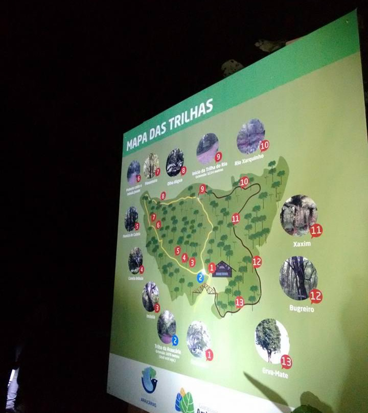 Parque Municipal das Araucarias景点图片