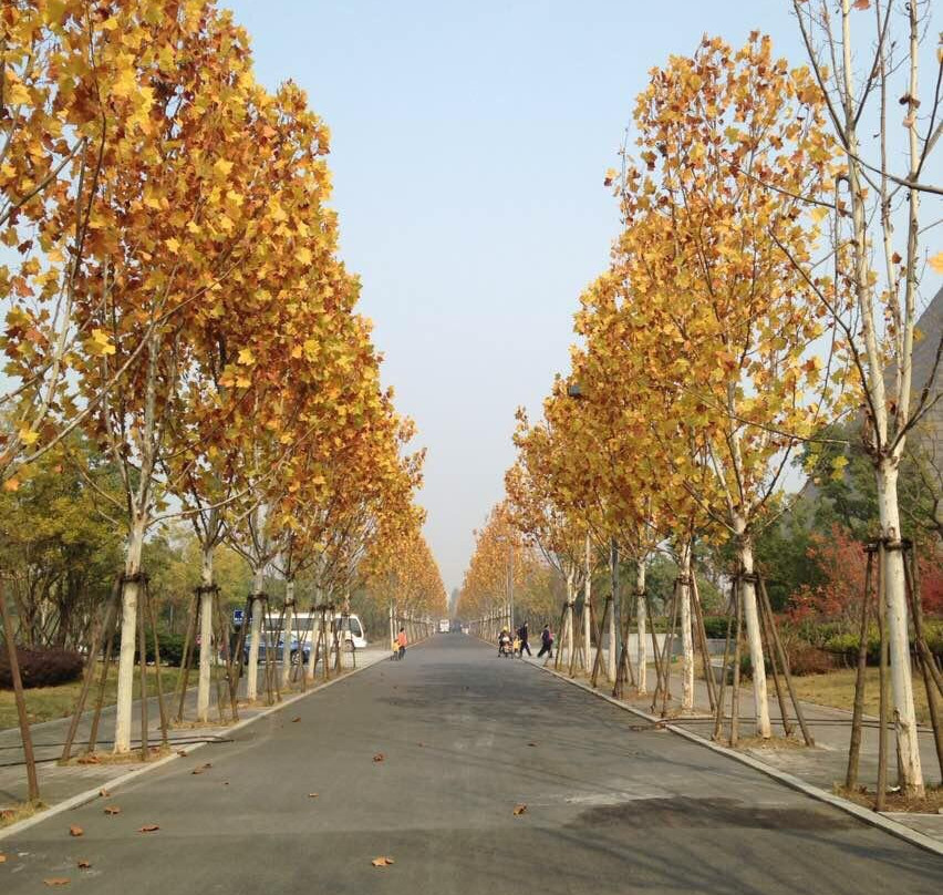 渡江战役纪念馆-合肥市必去景点