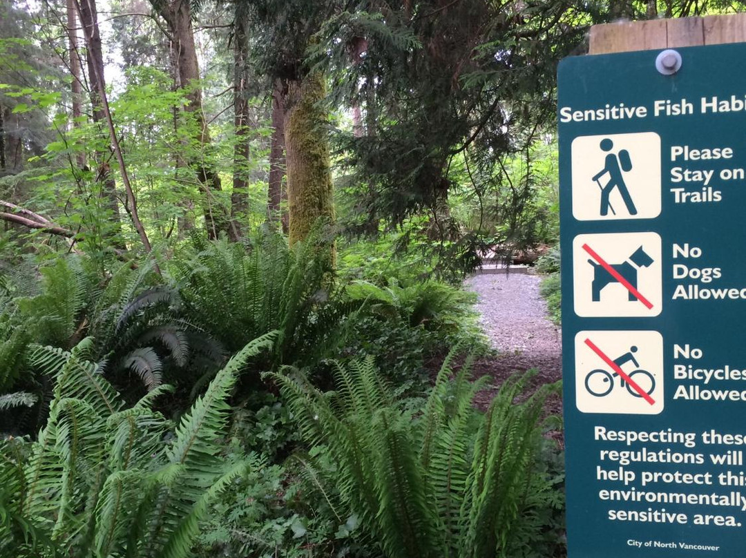 Mosquito Creek Hiking Trail-北温哥华必去景点