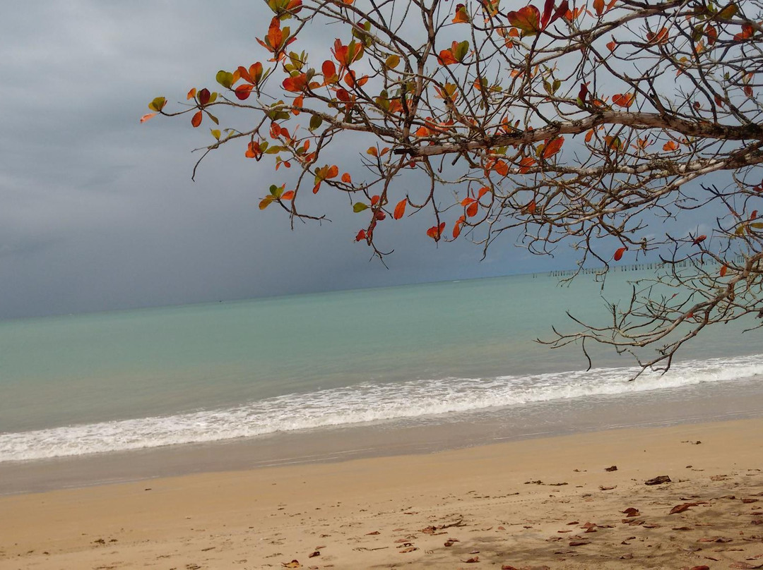 Pier Beach-Cumuruxatiba必去景点