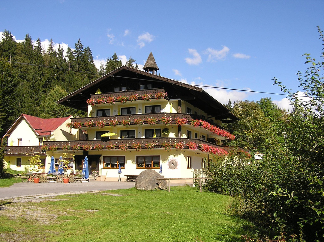 Rinchnach酒店住宿-Gasthof Muehle - Natur- und Wanderhotel