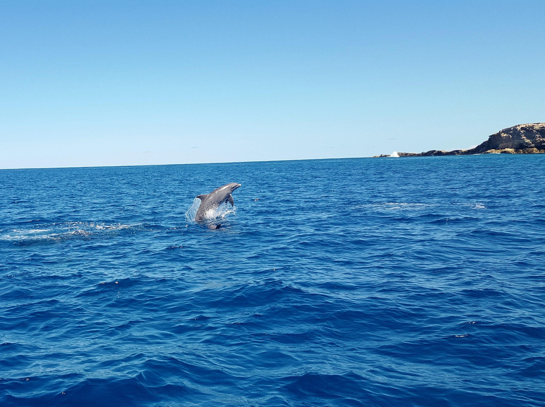 Keloa Charter Private Boat Trip-Anse Marcel必去景点