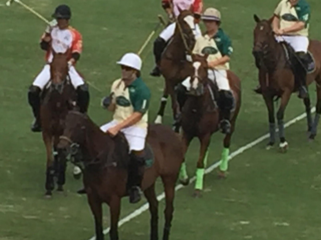 The Villages Polo Club-群村必去景点