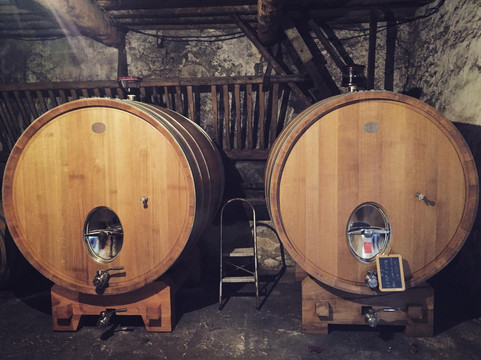 Château Pech Redon-纳博讷必去景点