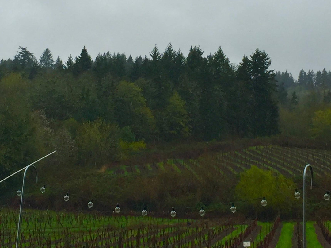 Ankeny Vineyard-塞勒姆必去景点