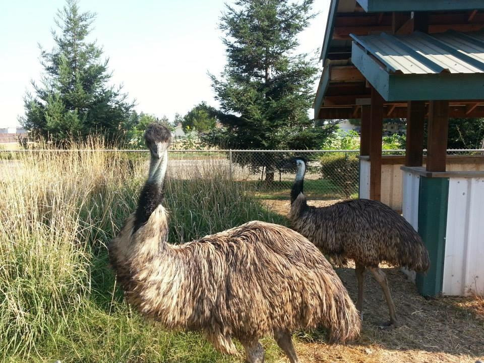 Merced Fruit Barn-默塞德必去景点