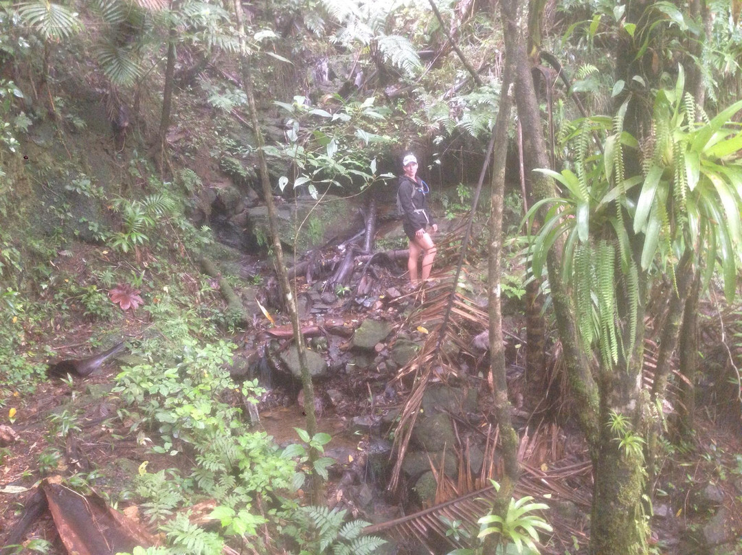 El Toro Peak-云盖国家森林公园必去景点