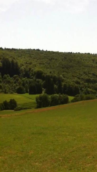 Islandpferde von der Untermühle