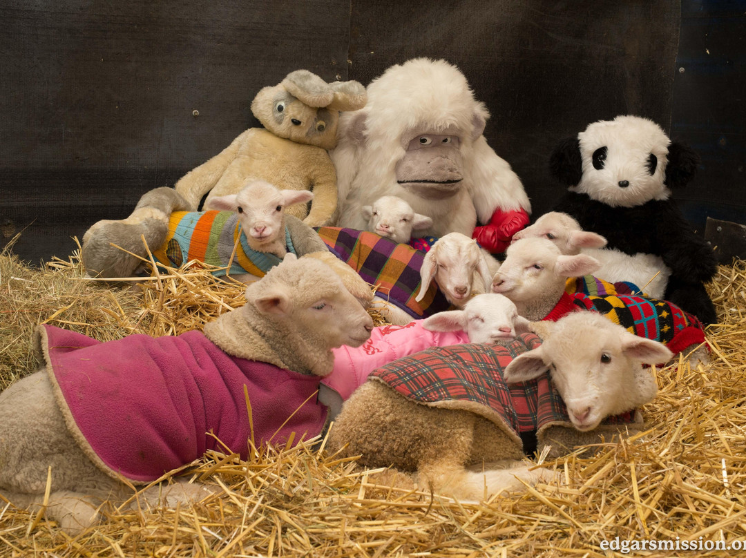 马其顿山区旅游景点-Edgar's Mission