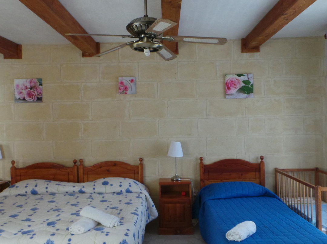 Mystic Flower BnB主图