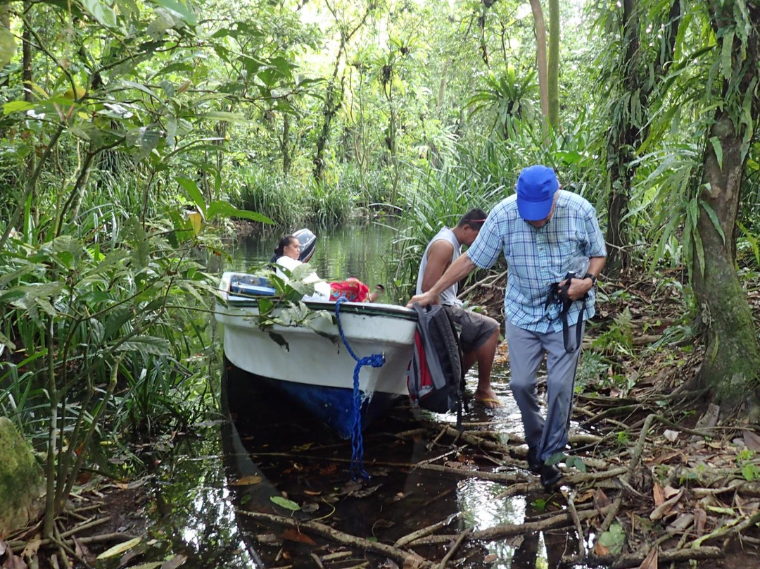 Yela Valley Ka Forest-Kosrae必去景点