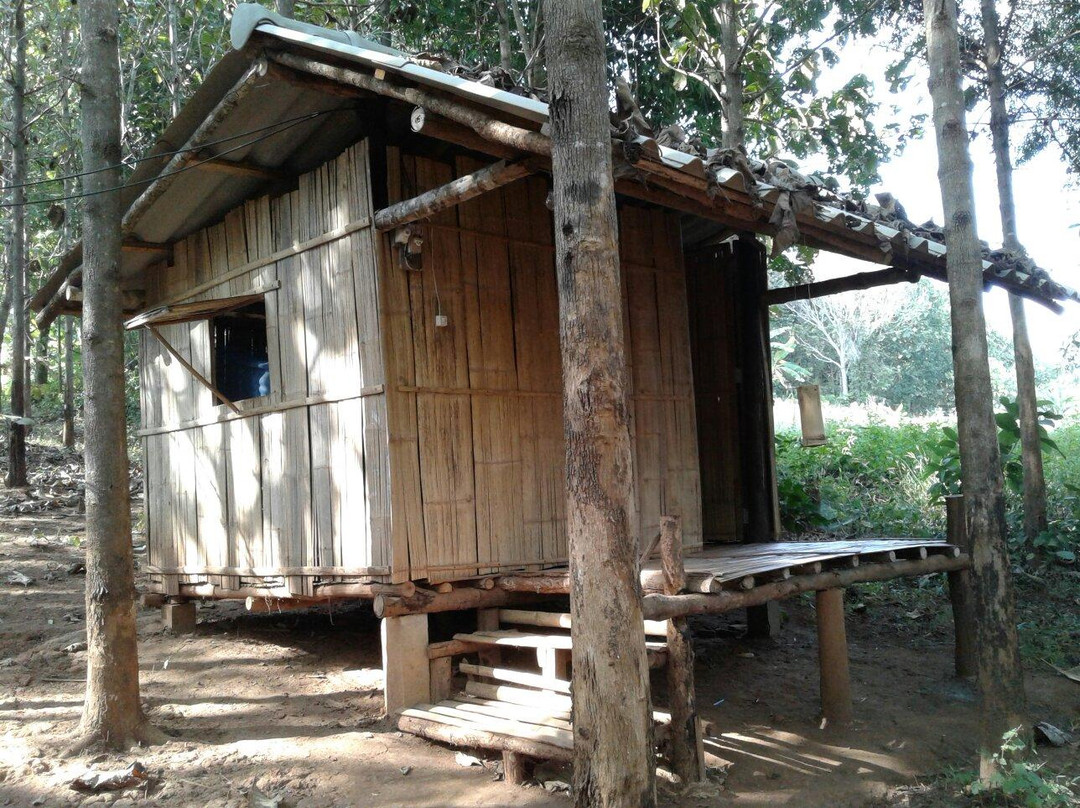 Newtau Drum Home
