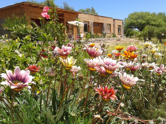 ElquiTerra Casa de Campo主图