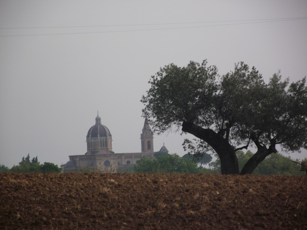 Santuario Santissimo Crocifisso景点图片