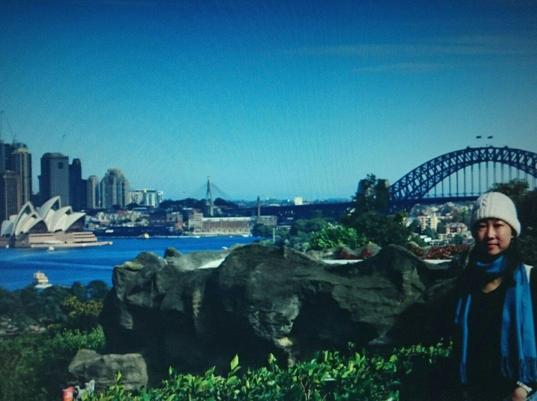 塔隆加动物园到曼利海滩漫步-悉尼必去景点