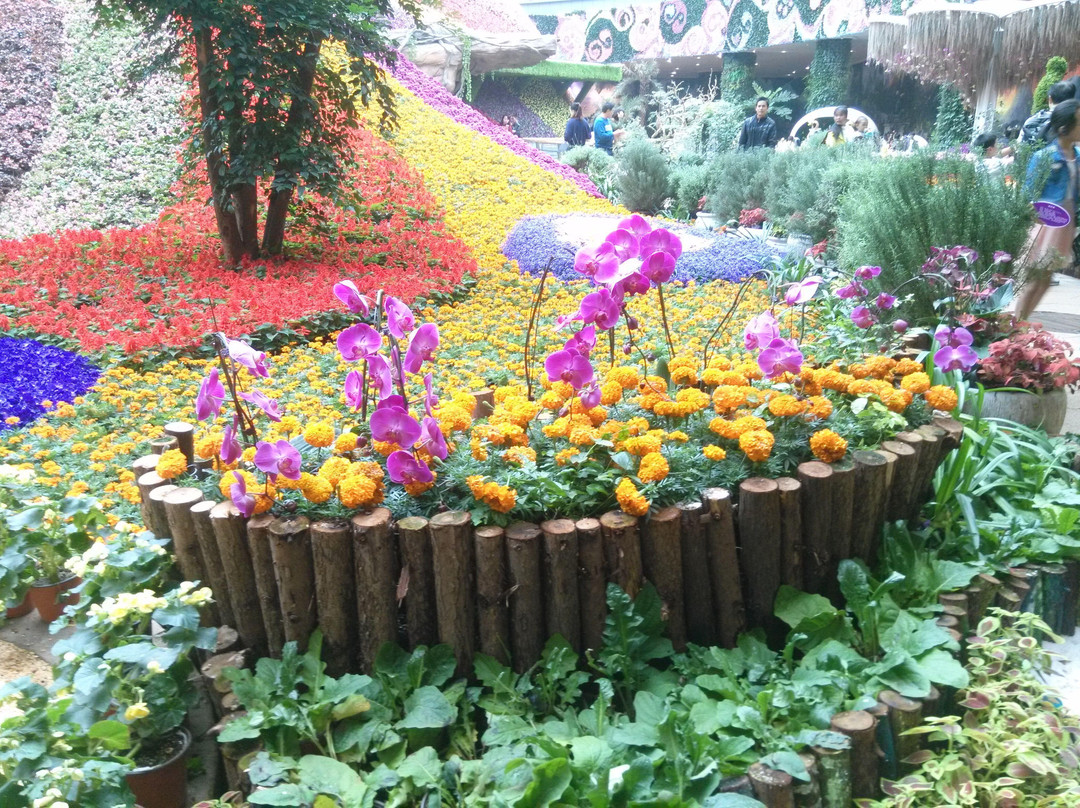 昆明花之城豪生国际大酒店主图