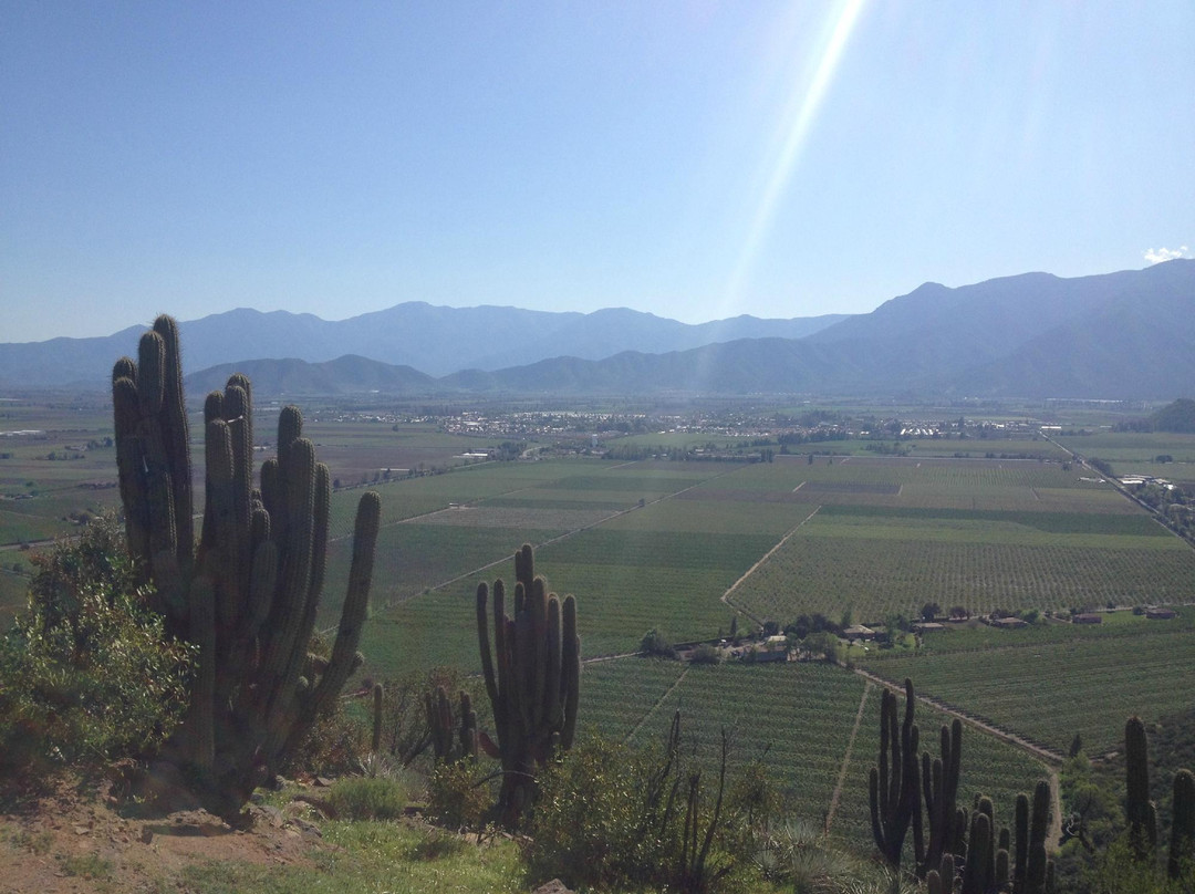 O'Higgins Tours - Day Tours-兰卡瓜必去景点