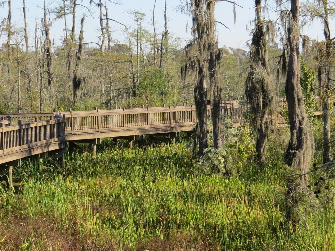 Blue Elbow Swamp-奥兰治必去景点