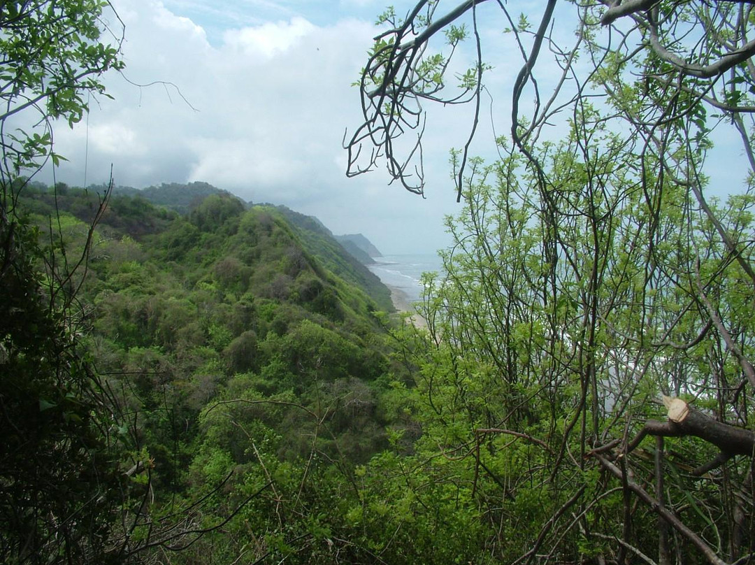 Reserva Biologica Cerro Seco景点图片