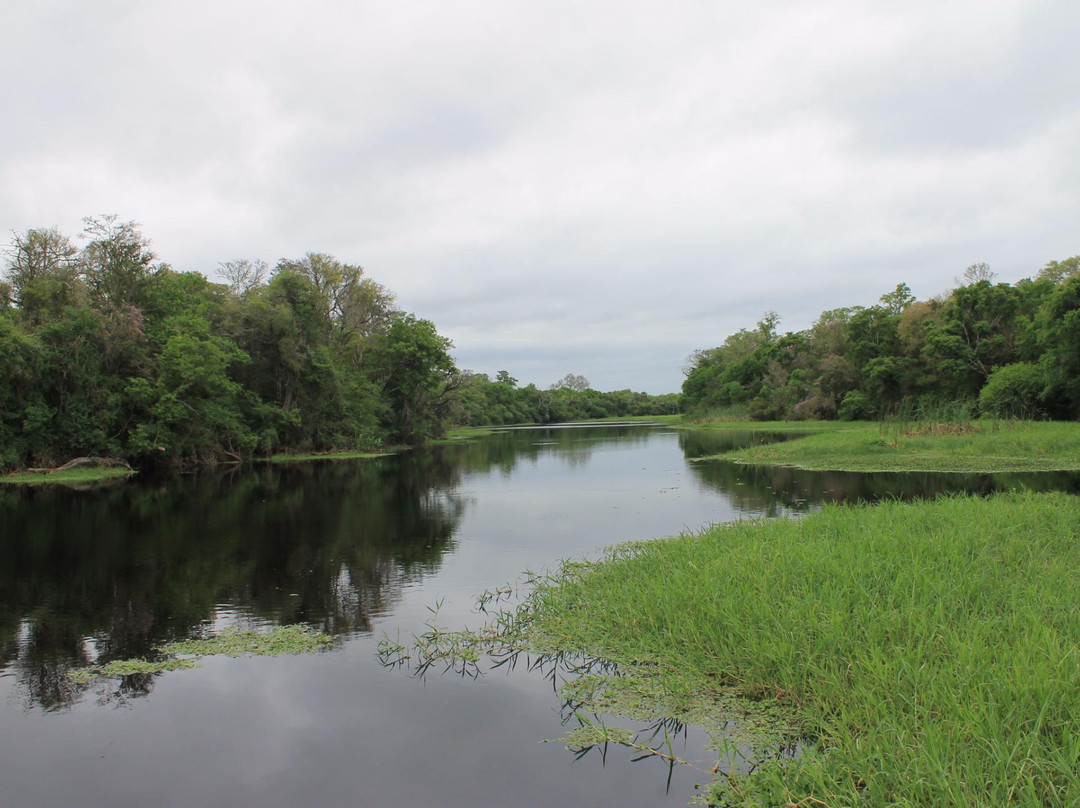Capitan Solari旅游攻略图片