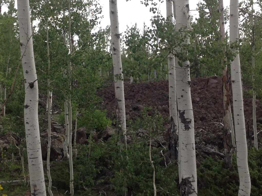 Navajo Lake State Park-Navajo Dam必去景点