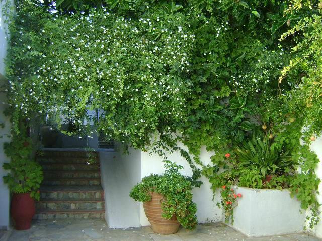 Sunningdale Bungalows主图