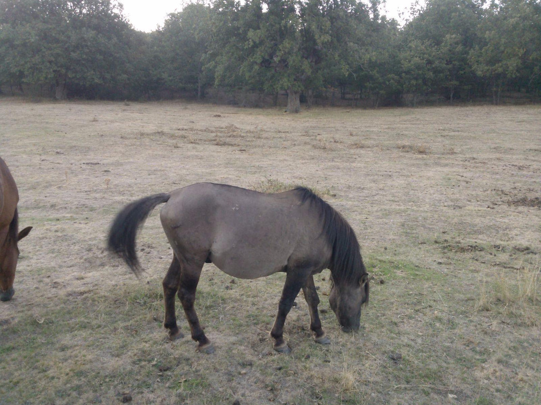 Paleolitico Vivo-布尔戈斯省必去景点
