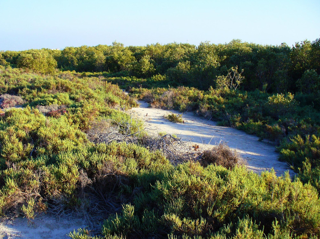 Mangrove National Park景点图片