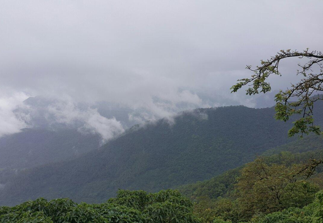 Jamboti Hills景点图片