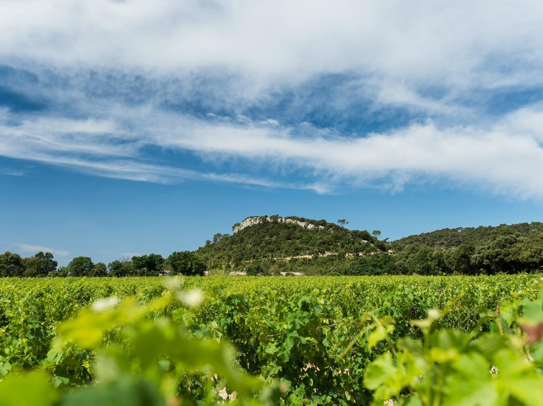 Château La Roque-Fontans必去景点