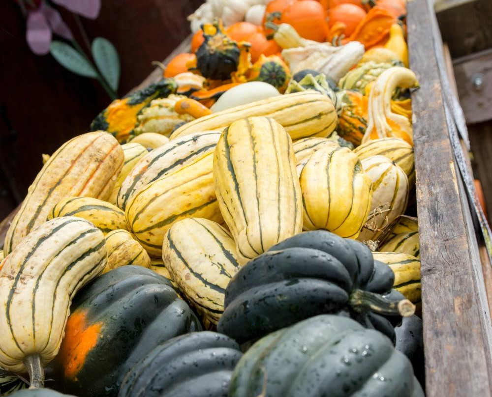 Deal's Orchard-Jefferson必去景点