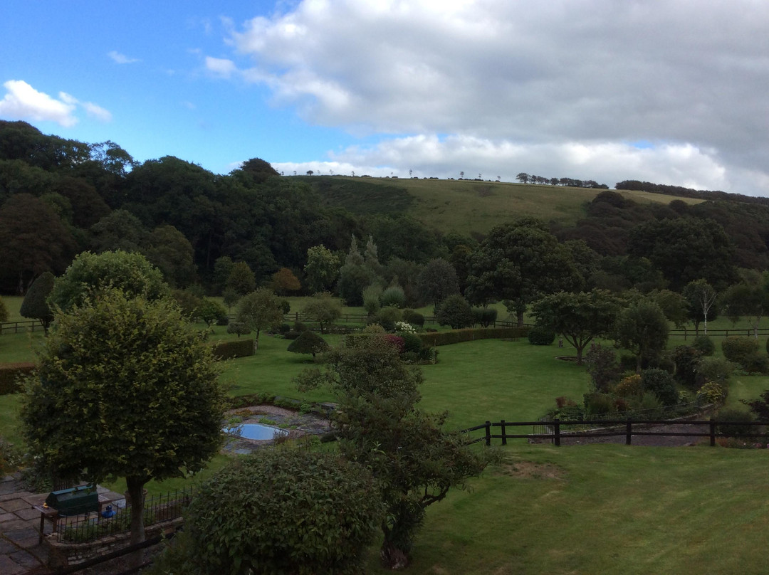 Tarr Steps酒店住宿-King's Farm