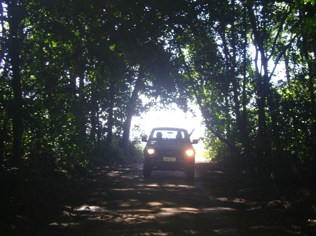 Praia Do Porto-Barreiros必去景点