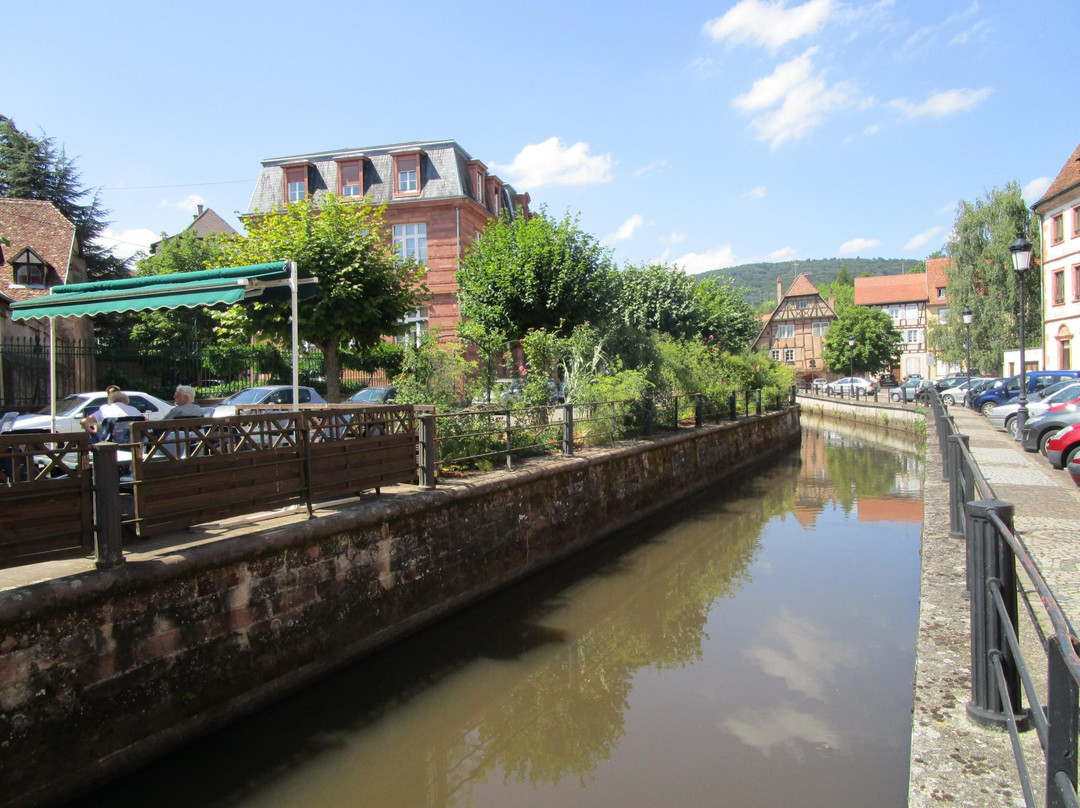 Office de Tourisme de l'Alsace Verte - Bureau d'information de Wissembourg景点图片